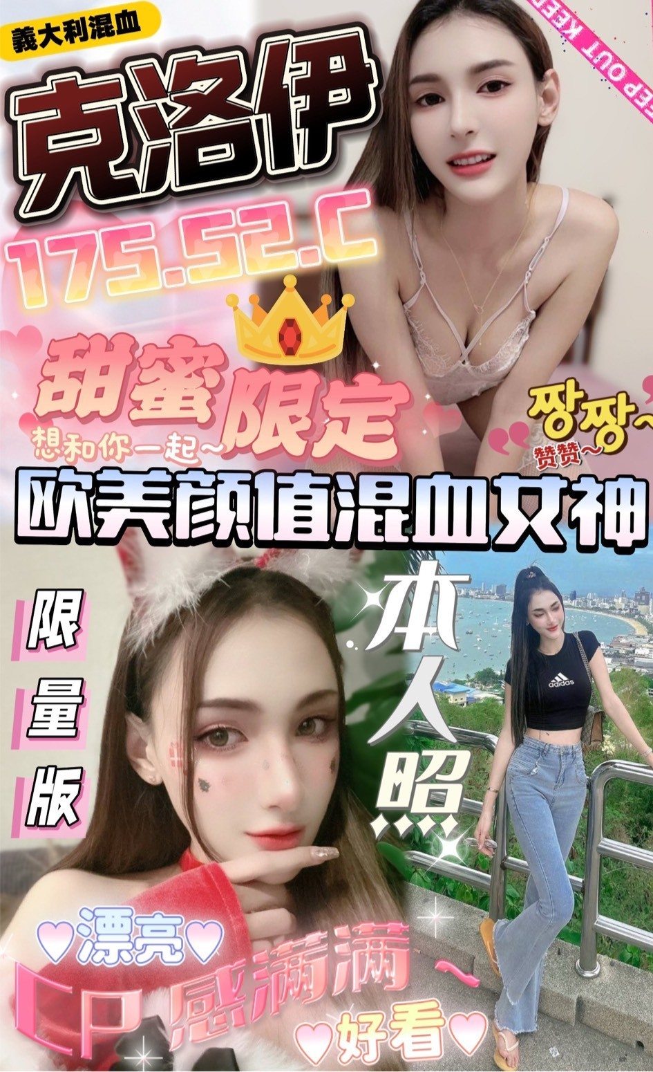台中北區定點 意大利 越南 馬來